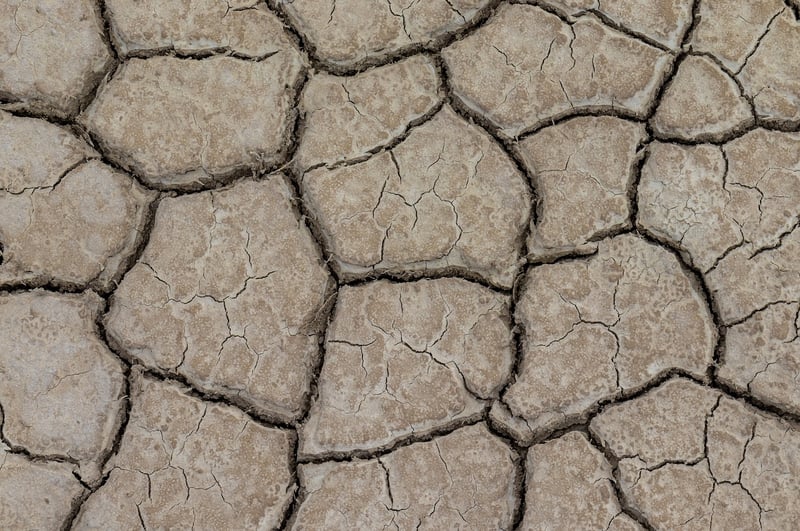 Desert Landscape